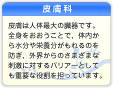皮膚科