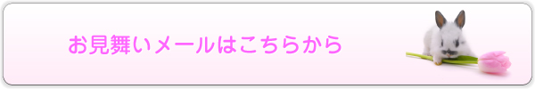 お見舞いメールはこちらから